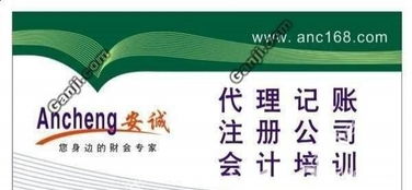 蜀山井崗路企業一站式財稅服務指南 代理記賬、進出口權及審計變更全解析